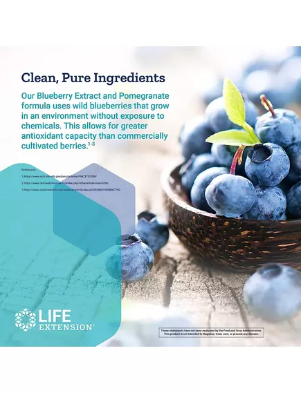 Life Extension Blueberry Extract and Pomegranate / Чорниця і гранат антиоксиданти 60 капсул, фото 4 від магазину біодобавок nutrido.shop