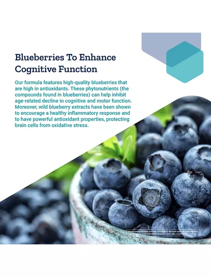 Life Extension Cognitex Elite Pregnenolone / Когнитекс Элит Прегненолон поддержка мозга 60 капсул, фото 3 в магазине биодобавок nutrido.shop