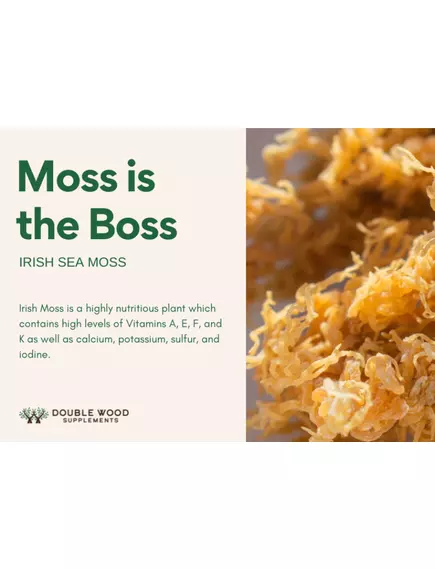 DOUBLE WOOD IRISH MOSS EXTRACT / ІРЛАНДСЬКИЙ МОХ ДЛЯ ЗДОРОВ'Я ОРГАНІВ ДИХАННЯ 180 КАПСУЛ, фото 5 від магазину біодобавок nutrido.shop
