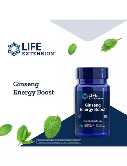 LIFE EXTENSION GINSENG ENERGY BOOST / ЕКСТРАКТ ЖЕНЬШЕНЮ ДЛЯ ПІДВИЩЕННЯ ЕНЕРГІЇ 30 КАПСУЛ, фото 4 від магазину біодобавок nutrido.shop