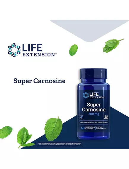 Life Extension Super Carnosine / Супер Карнозин антиоксидант 500 мг 60 капсул, фото 4 від магазину біодобавок nutrido.shop