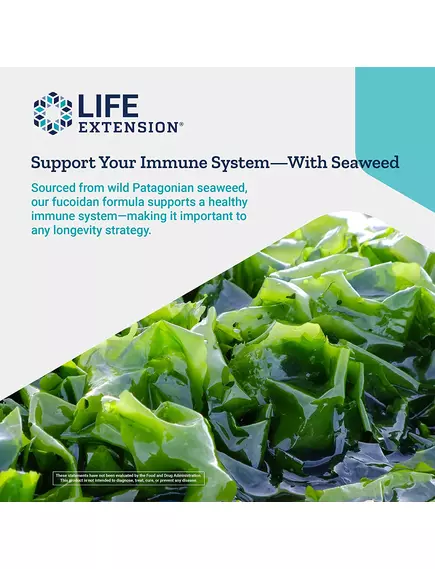 LIFE EXTENSION OPTIMIZED FUCOIDAN WITH MARITECH / ОПТИМІЗОВАНИЙ ФУКОЇДАН З MARITECH 60 КАПСУЛ, фото 3 від магазину біодобавок nutrido.shop