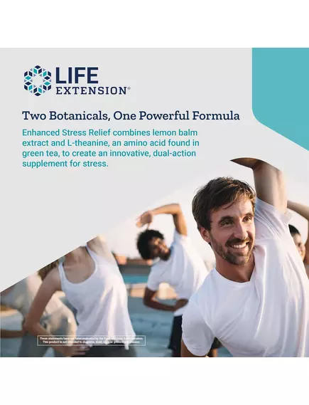 Life Extension Enhanced Stress Relief / Меліса та L-теанін для зняття стресу 30 капсул, фото 5 від магазину біодобавок nutrido.shop