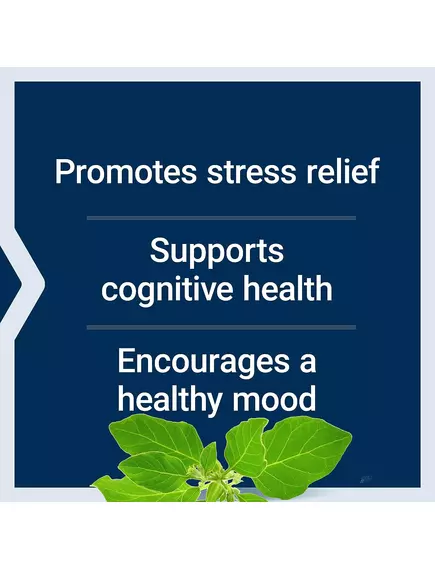 Life Extension Optimized Ashwagandha / Оптимізована Ашваганда 60 капсул, фото 4 від магазину біодобавок nutrido.shop