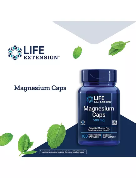 Life Extension Magnesium Caps / Три види магнію 500 мг 100 капсул, фото 4 в магазине биодобавок nutrido.shop