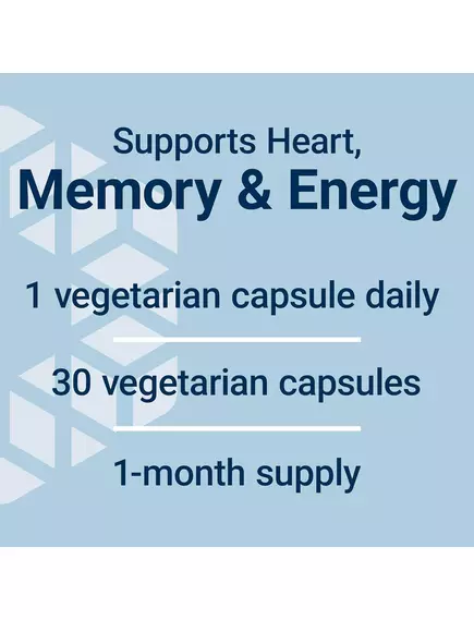 Life Extension L-Carnitine / L-карнитин поддержка митохондрий 500 мг 30 капсул, фото 5 в магазине биодобавок nutrido.shop