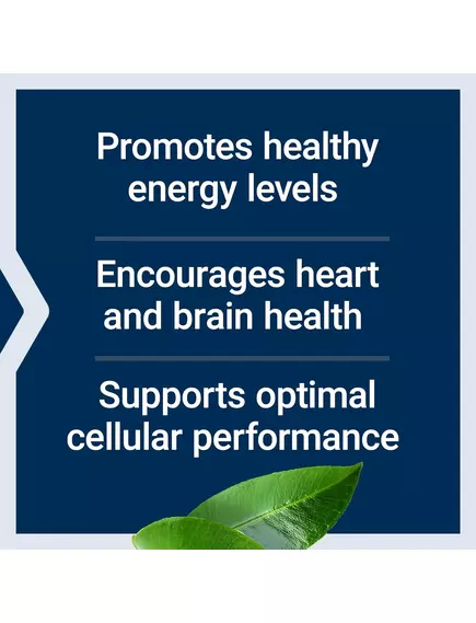 Life Extension L-Carnitine / L-карнитин поддержка митохондрий 500 мг 30 капсул, фото 7 в магазине биодобавок nutrido.shop