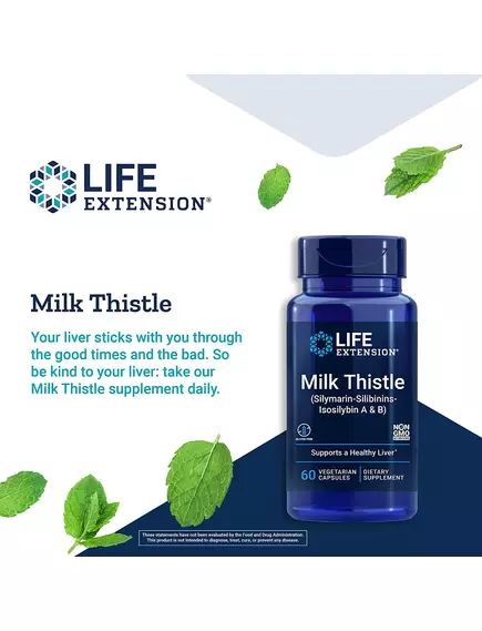 Life Extension Milk Thistle Silymarin Silibinins Isosilybin А&B / Расторопша для здоровья печени 60к, фото 5 в магазине биодобавок nutrido.shop