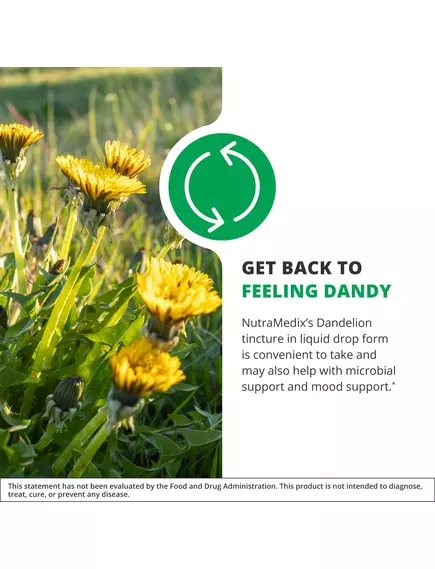 NutraMedix Dandelion / Кульбаба спиртовий екстракт листя 60 мл, фото 6 від магазину біодобавок nutrido.shop