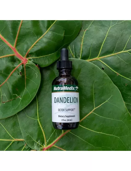NutraMedix Dandelion / Кульбаба спиртовий екстракт листя 60 мл, фото 8 від магазину біодобавок nutrido.shop