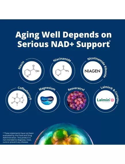 Neurohacker NAD+ / НМН+ Клінічно протестована формула 42 капсули, фото 5 від магазину біодобавок nutrido.shop