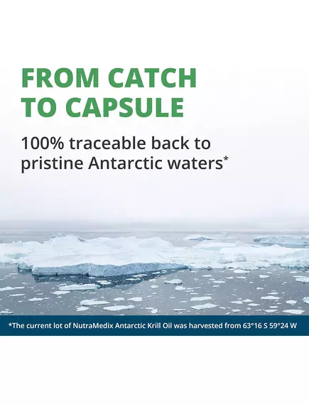 NutraMedix Krill Oil / Масло антарктического криля 60 капсул, фото 6 в магазине биодобавок nutrido.shop