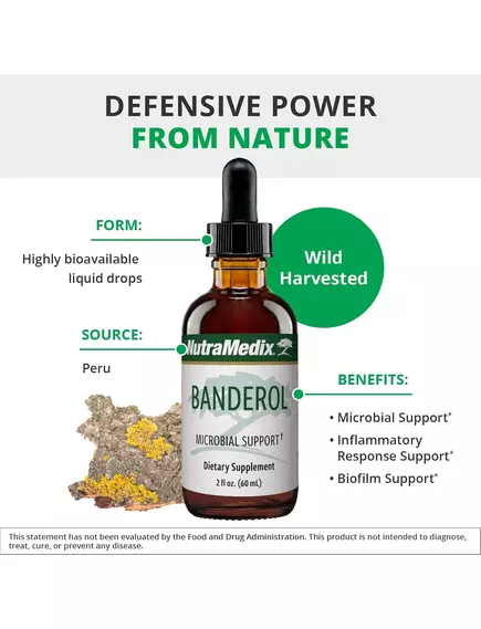 NutraMedix Banderol / Бандерол підтримка імунітету 60 мл, фото 3 від магазину біодобавок nutrido.shop