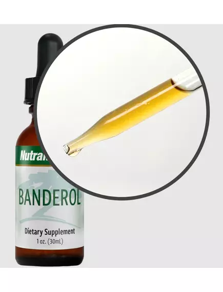 NutraMedix Banderol / Бандерол підтримка імунітету 60 мл, фото 4 від магазину біодобавок nutrido.shop