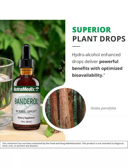 NutraMedix Banderol / Бандерол підтримка імунітету 60 мл, фото 5 від магазину біодобавок nutrido.shop