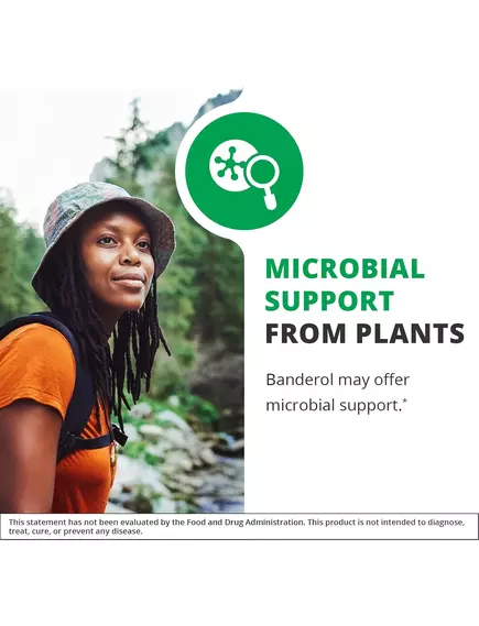 NutraMedix Banderol / Бандерол підтримка імунітету 60 мл, фото 6 від магазину біодобавок nutrido.shop