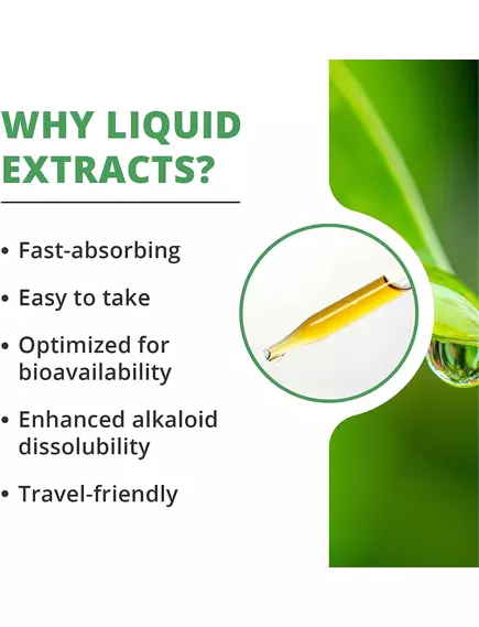 NutraMedix Banderol / Бандерол підтримка імунітету 60 мл, фото 8 від магазину біодобавок nutrido.shop