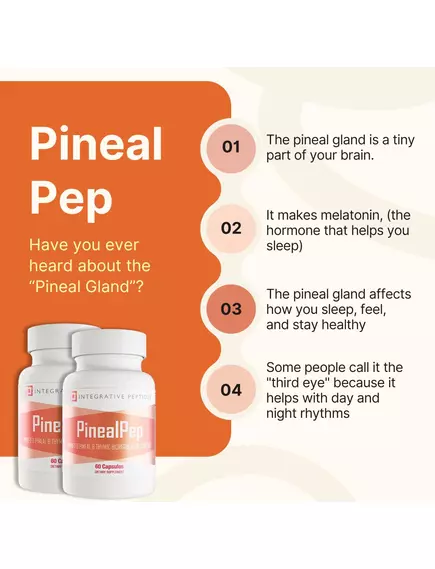 Integrative Peptides PinealPep / Пінеальний пептид здоров'я мозку та нервової системи 60 капсул, фото 4 від магазину біодобавок nutrido.shop