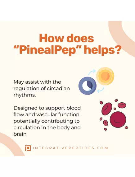 Integrative Peptides PinealPep / Пінеальний пептид здоров'я мозку та нервової системи 60 капсул, фото 5 від магазину біодобавок nutrido.shop