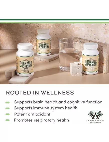 Double Wood Tiger Milk Mushroom / Тигровий молочний гриб Lignosus Fungi 500 мг 120 капсул, фото 4 від магазину біодобавок nutrido.shop