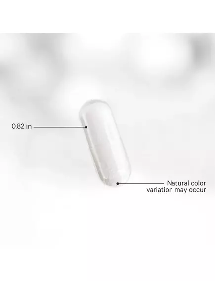 CodeAge GLP-1 Probiotic+ / Пробіотик GLP-1 Акермансія + Інулін 30 капсул, фото 3 від магазину біодобавок nutrido.shop