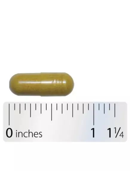 Integrative Therapeutics Para-Gard / Пара-Гард підтримка ШКТ баланс кишкової флори 60 капсул, фото 7 в магазине биодобавок nutrido.shop