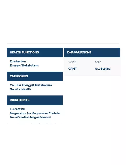 Professional Health Products Magna Creatine Brain & Athletic Boost / Креатин і магній 120 капсул, фото 3 в магазине биодобавок nutrido.shop