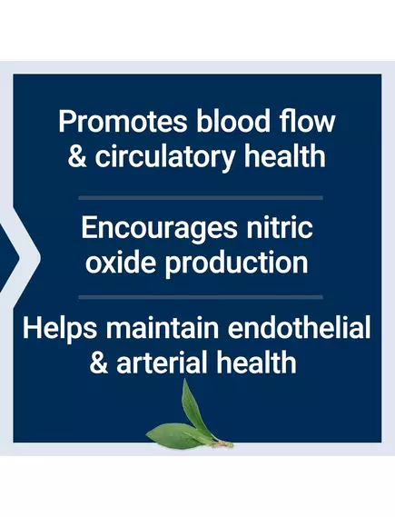 Life Extension NitroVasc Boost Berry / Підтримка судин і вироблення оксиду азоту 78,6 г, фото 5 від магазину біодобавок nutrido.shop