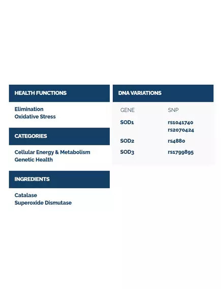 Professional Health Products Pro SOD/Catalase / Супероксиддисмутаза та каталаза антиоксиданти 60 капсул, фото 3 від магазину біодобавок nutrido.shop