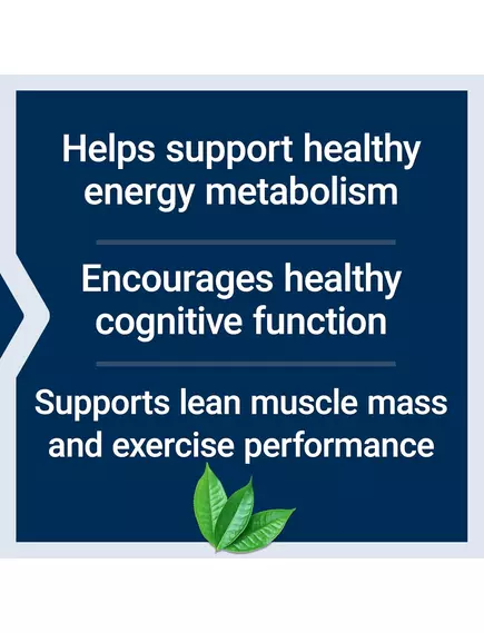 Life Extension Creatine & Acetyl-L-Carnitine Energy Plus / Креатин і ацетил-L-карнітин 233 г, фото 4 від магазину біодобавок nutrido.shop