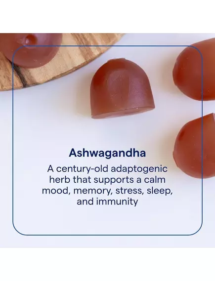 Trace Minerals Ashwagandha Gummies / Ашваганда смак маракуя-апельсин 60 жувальних мармеладок, фото 3 в магазине биодобавок nutrido.shop