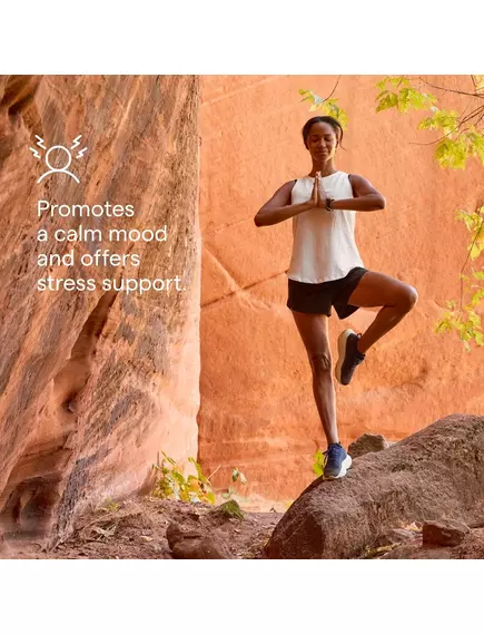 Trace Minerals Ashwagandha Gummies / Ашваганда смак маракуя-апельсин 60 жувальних мармеладок, фото 4 в магазине биодобавок nutrido.shop