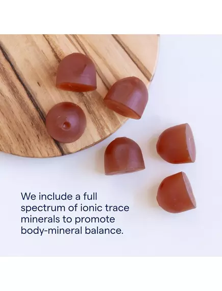Trace Minerals Ashwagandha Gummies / Ашваганда смак маракуя-апельсин 60 жувальних мармеладок, фото 5 в магазине биодобавок nutrido.shop