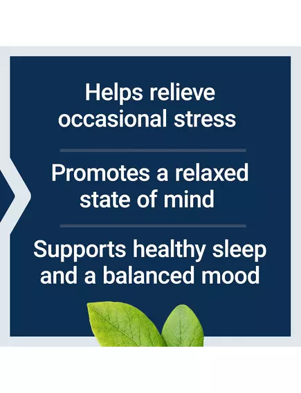 Life Extension GABA / ГАМК Гамма-аміномасляна кислота 60 капсул, фото 4 в магазине биодобавок nutrido.shop