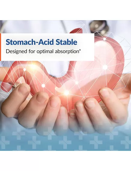 Arthur Andrew Nattovena / Наттокиназа для здоровья сердечно-сосудистой системы 90 капсул, фото 7 в магазине биодобавок nutrido.shop