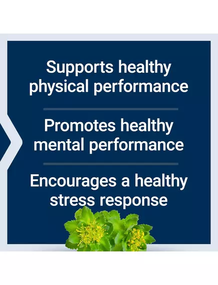 Life Extension Rhodiola Extract / Екстракт родіоли адаптоген 250 мг 60 капсул, фото 4 від магазину біодобавок nutrido.shop