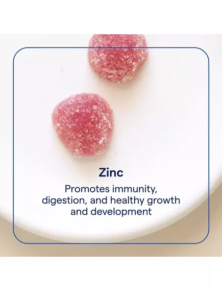 Trace Minerals Zinc Gummies / Цинк смак бузина 60 жувальних мармеладок, фото 3 в магазине биодобавок nutrido.shop