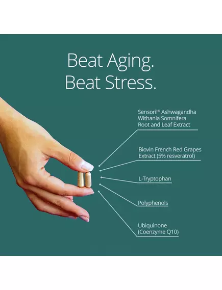 Neurohacker Qualia Life / Энергия клеток для здорового долголетия 120 капсул, фото 11 в магазине биодобавок nutrido.shop