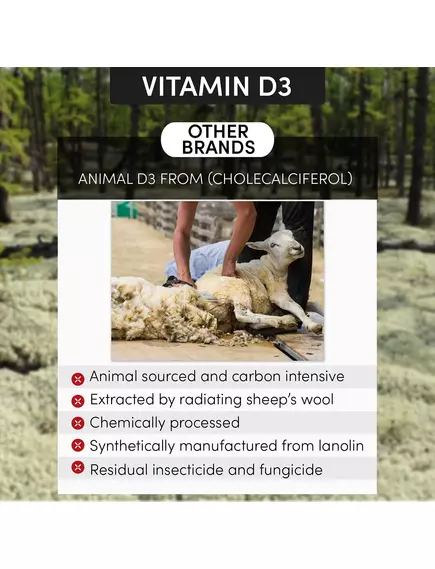 Arthur Andrew KD Ultra / Вітамін Д3 2500 МО рослинний + вітамін К 90 капсул, фото 6 від магазину біодобавок nutrido.shop