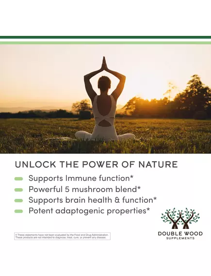 Double Wood Mushroom Gummies / Комплекс грибів 5 видів 250 мг 60 жувальних цукерок, фото 6 від магазину біодобавок nutrido.shop