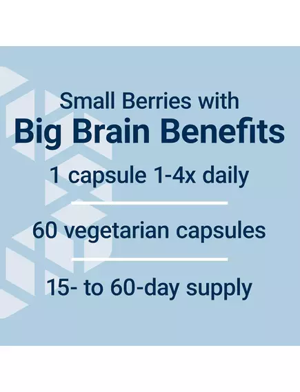 Life Extension Blueberry Extract / Экстракт черники антиоксидант 60 капсул, фото 5 в магазине биодобавок nutrido.shop