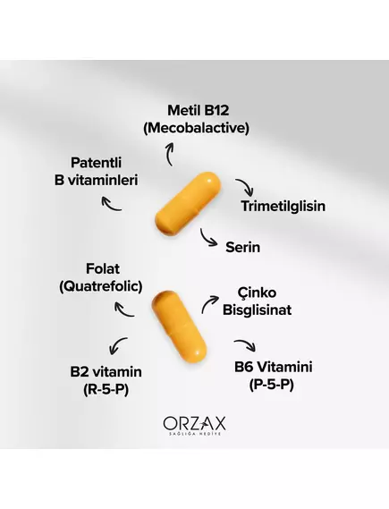 Orzax Methyl Balance / Комплекс із вітамінами групи Б в активній формі 60 капсул, фото 3 купить в магазине биодобавок nutrido.shop Orzax Methyl Balance / Комплекс із вітамінами групи Б в активній формі 60 капсул, фото 3 в магазине биодобавок nutrido.shop