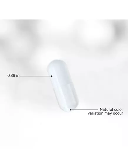 CodeAge Liposomal L-Glutamine / Ліпосомальний L-глутамін 180 капсул, фото 3 від магазину біодобавок nutrido.shop