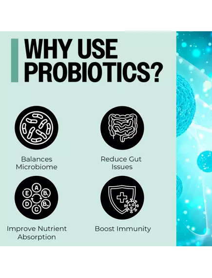 PurO3 Probiotic Suppositories / Суппозитории с пробиотиками 10 шт, фото 5 в магазине биодобавок nutrido.shop