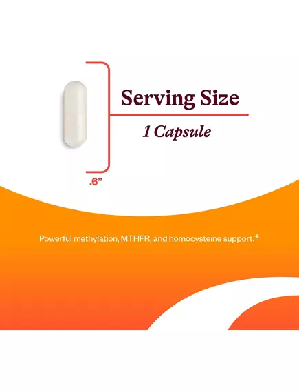 Seeking Health L-5-MTHF / Метилфолат витамин Б9 1700 мкг 60 капсул, фото 11 в магазине биодобавок nutrido.shop