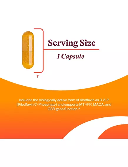 SEEKING HEALTH RIBOFLAVIN / ВІТАМІН Б2 РИБОФЛАВІН 400 МГ 60 КАПСУЛ, фото 14 від магазину біодобавок nutrido.shop