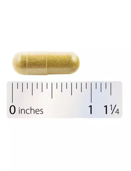 Integrative Therapeutics Berberine / Берберин метаболізм цукру в крові 120 капсул, фото 5 в магазине биодобавок nutrido.shop