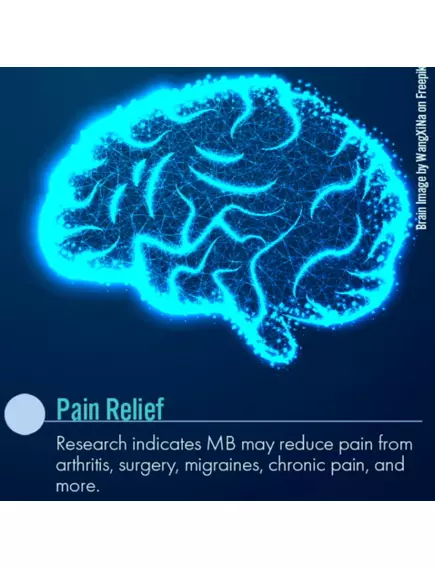 PurO3 Methylene Blue Suppositories / Супозиторії з метиленовим синім 20 шт., фото 11 від магазину біодобавок nutrido.shop
