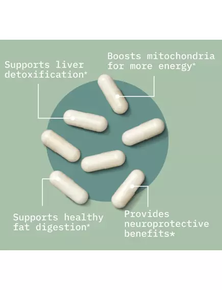 BODYBIO TUDCA / ТУДКА ТАУРОСОДЕЗОКСИХОЛЕВА КИСЛОТА 60 КАПСУЛ, фото 10 від магазину біодобавок nutrido.shop