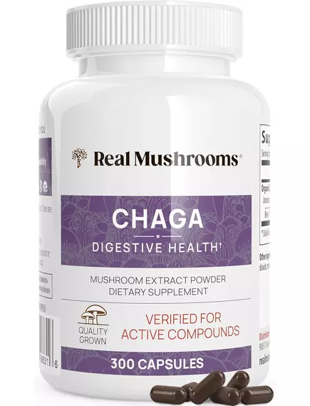 Real Mushrooms Chaga / Грибы с экстрактом чаги для поддержки иммунитета и пищеварения 300 капс., фото 5 в магазине биодобавок nutrido.shop